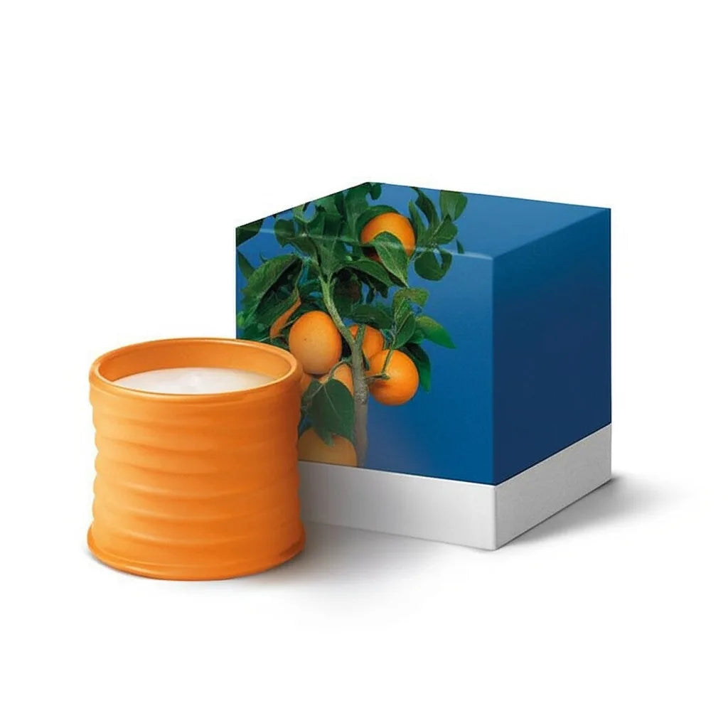 Honeysuckle Scented Candle Gift Box