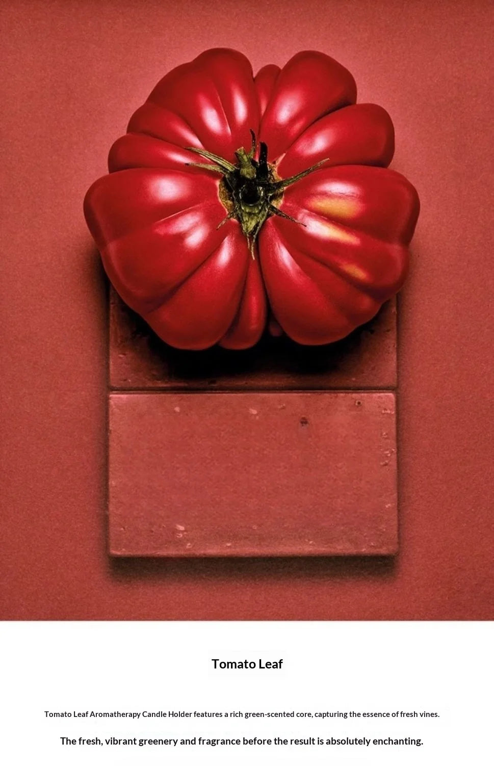 Honeysuckle Scented Candle Gift Box