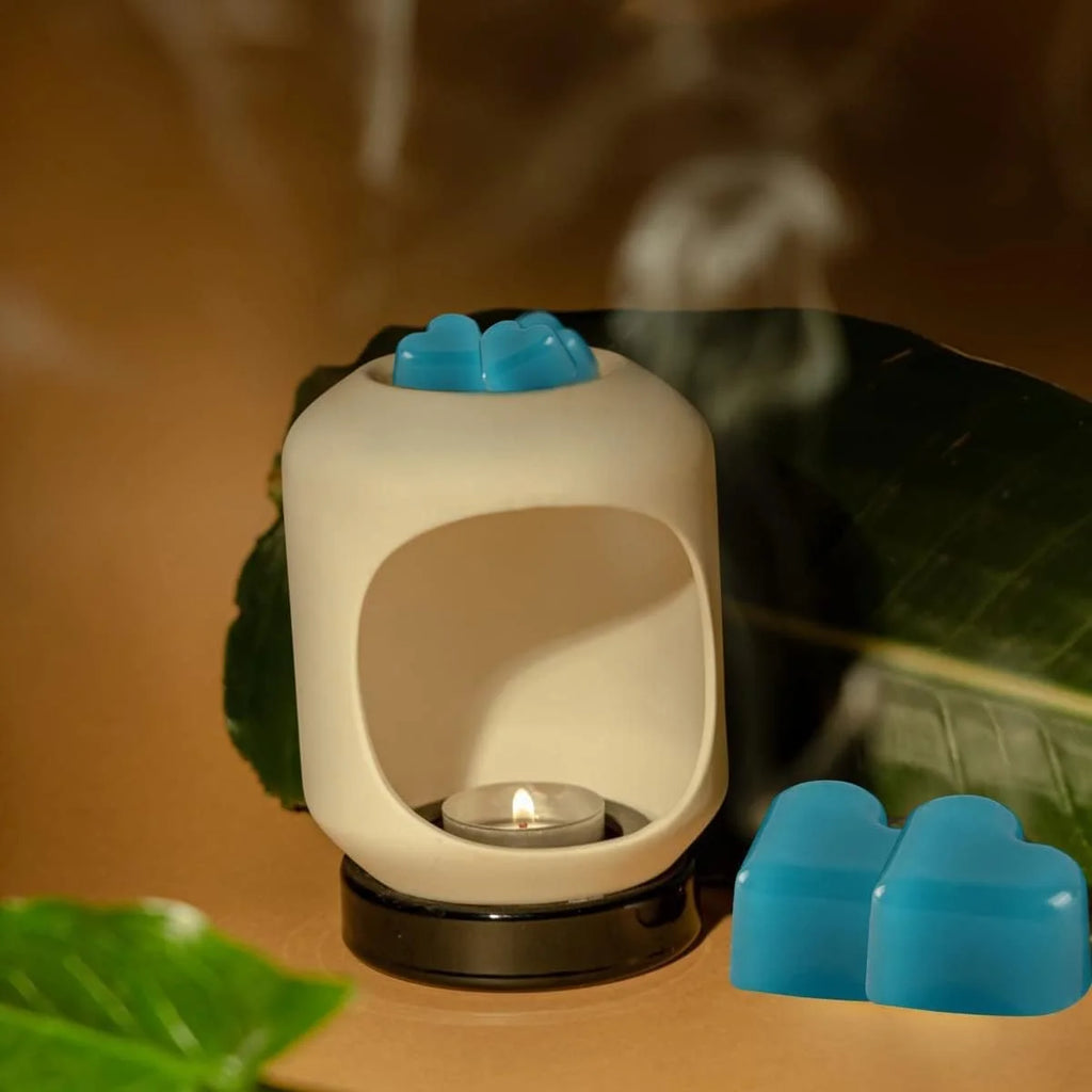 Heart-Shaped Soy Wax Melt Set